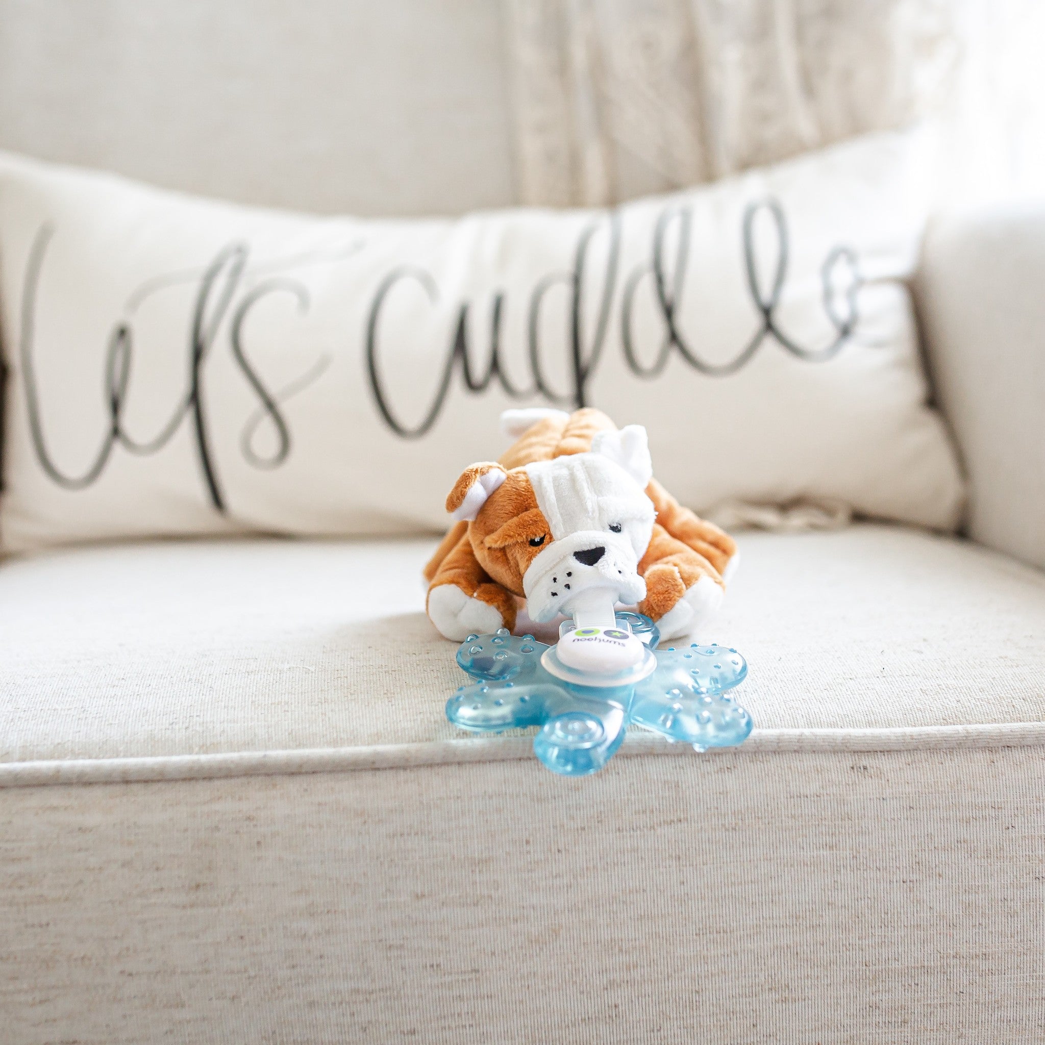 barkley bulldog with blue chillie teether